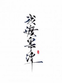 昭昭风华