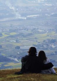 [综漫] 虫仙银银决定养崽
