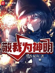 异界之剑师全职者