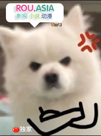 被揍就能变强