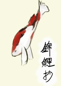 小姐，不可以