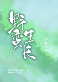 不藏锋芒