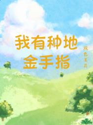 金丹是恒星，你管这叫修仙