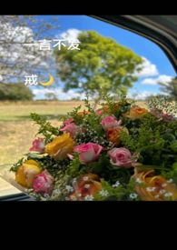 网游之梦想星辰
