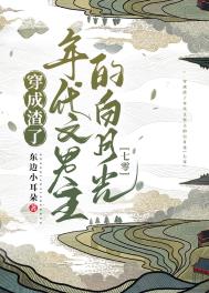 中年妻妻离婚指南