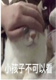 农门凰女