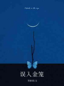 一篇女扮男装科举文