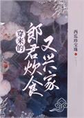 小知青的四合院