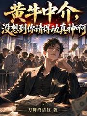 [综漫] 越前回国我来接