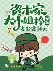 无双招婿