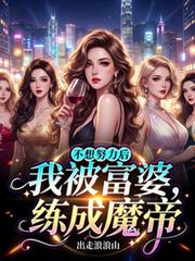 将军，你钱包又被偷了