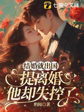 结婚就出国,提离婚他却失控了