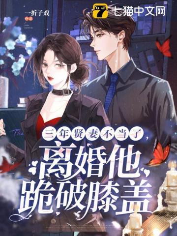 三年贤妻不当了,离婚他跪破膝盖