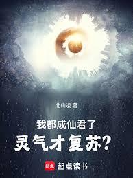 龙傲天成了我老婆