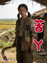 二嫁娇妾