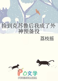 察布尔的冬天