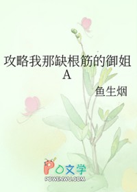 流年似锦